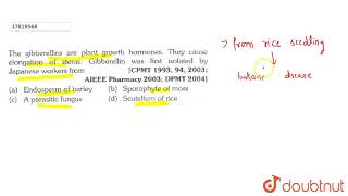 The gibberellins aare plant growith hormones They cause elongation of stems [upl. by Jelle]