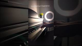 🎼🎇 piano unamattina intouchables experience [upl. by Moguel]