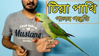 পোষা টিয়া পাখি টিয়া পাখির পালন পদ্ধতিটিয়া পাখির খাবার ও যত্নHow to Tame Ringneck Parrot amp care [upl. by Primavera182]