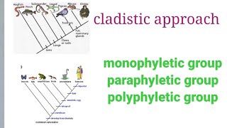 cladistic approach monophyletic groupparaphyletic group or polyphyletic group [upl. by Gabie606]