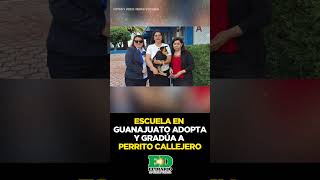 🐕🎓💕😊 CANELO EL PERRO CALLEJERO QUE SE GRADUÓ EN GUANAJUATO [upl. by Yborian565]