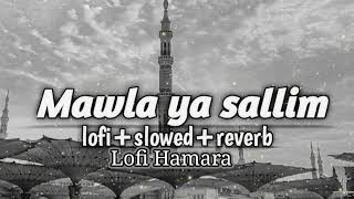 maula ya sallim Slowed and Reverb lofinaatsharif lofinaat lofinaat viralvideo 🎧🕋 [upl. by Erdrich]