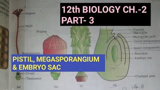 Class 12 biology chapter2 Part3 Pistil megasporangium and embryo sacStudy with FARRU [upl. by Ahsenyt]