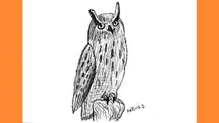 Comment dessiner un hibou [upl. by Ahto697]