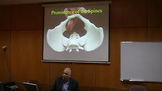 Contracted Pelvis and Cephalopelvic Disprortion CPD Dr Reda Ismail [upl. by Atirat895]