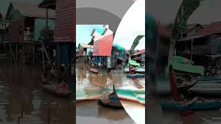 shorts Tonle sap travel tourism cambodia nature [upl. by Woodrow39]