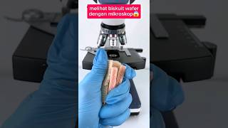 Melihat biskuit wafer dengan mikroskop🤤 fakta faktaunik experiment [upl. by Eitsyrk]