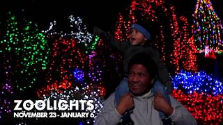 Point Defiance Zoo amp Aquarium Zoolights 2018 [upl. by Rojam]