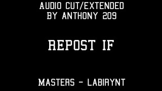 masters labirynt but only the best part extended [upl. by Nekcarb154]