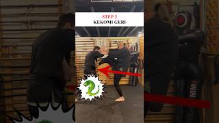 How To Do KEMPO Kekomi Geri in a FIGHT 🐉 Shorts Kempo Karate [upl. by Esej]