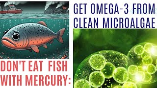 Dont Consume MercuryLadened Fish or Fish Oil for Omega 3s  Pure Algae Sources Now Available [upl. by Aliam859]