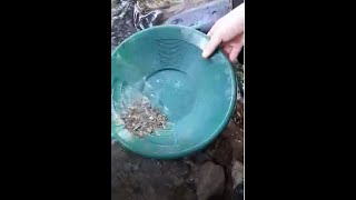 Ispiranje zlata Srbija  Gold panning in central Serbia [upl. by Adnawad396]