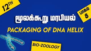 12th BIOZOOLOGY  Chapter 5  PART 8  Molecular Genetics  Packaging of DNA helix [upl. by Keel]