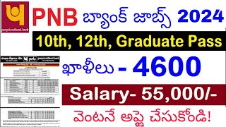 Punjab National Bank Recruitment 2024PNB Bank Vacancy 2024PNB Recruitment 2024Govt Jobs Aug 2024 [upl. by Olag244]