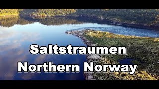 Сальстраумен Белые ночи Красивая панорама Saltstraumen Norway [upl. by Ziladnerb]