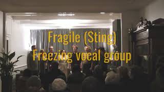 Vocal Group Freezing Frl zingt Fragile ttv Huiskamerconcerten in Akkrum dec 2012 versie 2024 [upl. by Bechler415]