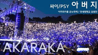 연세대 아카라카 싸이 아버지 떼창  AKARAKA  연세대 축제 PSY Father [upl. by Eirrek362]