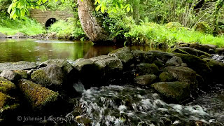 Environmental Ambient Nature Sounds  Relaxing Forest Environment Babbling Brook Water Fall Ambience [upl. by Enelram]