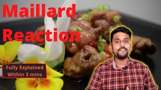 Maillard Reaction vs Caramelisation What is maillard reaction Fully explainedwithin 3 mins [upl. by Eppesuig]