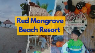 Red Mangrove Beach Resort in Samal Island [upl. by Yesnik167]