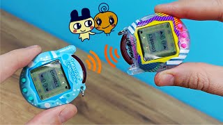 Как подружить два Тамагочи вместе Новинка Tamagotchi connection [upl. by Gnurt890]