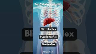 Top 5 der wichtigsten Reflexe youtubeshorts top5 reflexe körper fakten [upl. by Corsiglia]