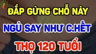 Dùng 1 CỦ GỪNG cách này Ngủ Ngon SẠCH GAN KHỎE THẬN Ngừa Ung Thư THỌ 120 Tuổi  SKST [upl. by Amalbergas157]