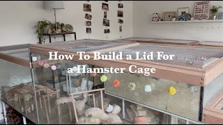 How To Build a Lid For a Hamster Cage [upl. by Norra]