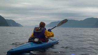 Fjord du Saguenay [upl. by Eldwen850]