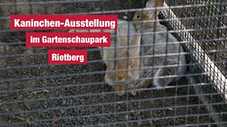 KaninchenAusstellung im Gartenschaupark Rietberg 2023 [upl. by Ralfston940]