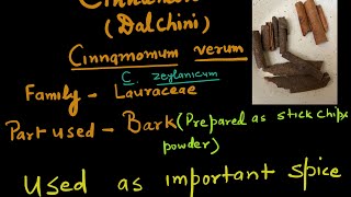 CinnamonDalchiniCinnamomum zeylanicumBotanistMeena1987 [upl. by Annaerdna]