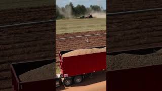 The Peanut Harvest with Harrell AG Products farming peanut farmequipment [upl. by Enimassej]