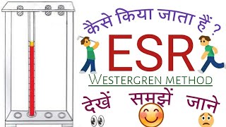 ईएसआर परीक्षण  ESR Test in hindi  Westergren method [upl. by Fritzie]