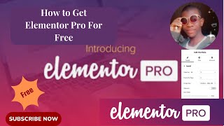 How to get Elementor pro Plugin For free 2024 [upl. by Aivle]