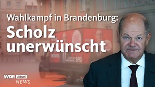 Vor Wahlen in Brandenburg KopfanKopfRennen zwischen SPD und AfD  Aktuelle Stunde [upl. by Barbaresi]