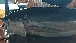 Amazing big tuna cutting skills 🔥🔪🔥Live 24 Nov 24 [upl. by Suiraj441]