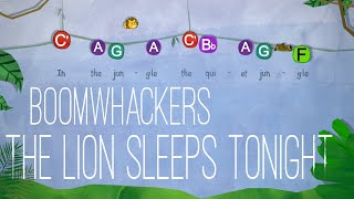 The Lion Sleeps Tonight  Boomwhackers [upl. by Eidoj]