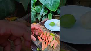 Guava fruits youtube cuttingskils shortvideos [upl. by Eibbor]