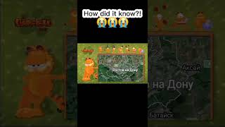 How did bro know 😭😭😭 garfield memes funny vr meme shorts shorts [upl. by Notlil]