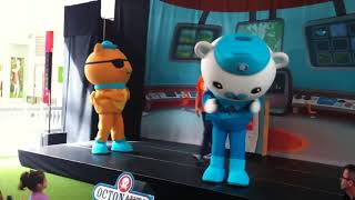 Octonauts LIVE SHOW HD [upl. by Lechar317]