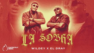 Wildey El Dray  LA SOBRA Video Oficial [upl. by Dupin230]