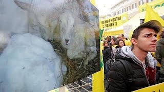 Agricultores sentemse abandonados após catástrofes [upl. by Kinson641]