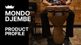 Mondo Djembe  Remo [upl. by Imij]