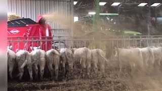 KUHN PRIMOR 5570  Straw Blowers amp Feeders In action [upl. by Menis]