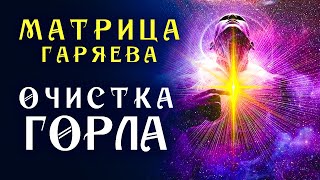 Мощная Матрица Гаряева для Очистки Горла ☀️ Полное Восстановление Горла ☀️ Исцеление Звуком [upl. by Thesda14]