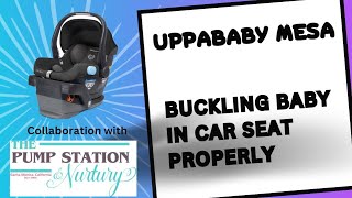 Uppababy Mesa Buckling Baby in Car Seat Properly [upl. by Ahiel946]