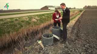 Kennis voor Klimaat TV De Waterbuffer [upl. by Anatsirhc727]