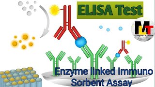 ELISA Test ।। Enzyme Linked Immuno Sorbent Assay in Hindi Notes [upl. by Aralk190]