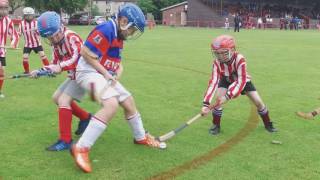 Primary School Shinty World Cup [upl. by Serles144]