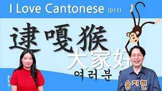 【중콘】  I Love Cantonese 011  쉽고 재미있는 광동어  大家好  逮嘎猴  원숭이  广东话  粤语  여러분 안녕하세요  雷猴  陈依诺 [upl. by Button727]